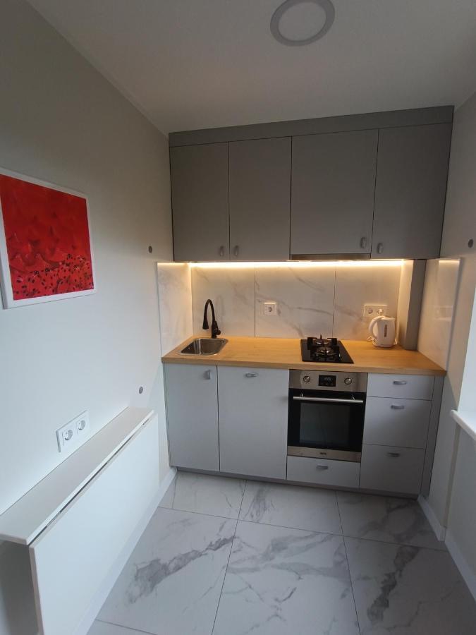 Dariaus Ir Gireno 6 Apartments Vilnius Dış mekan fotoğraf